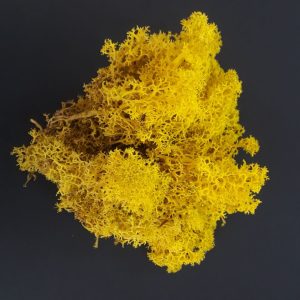 import placeholder for 2905