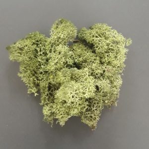 import placeholder for 2898