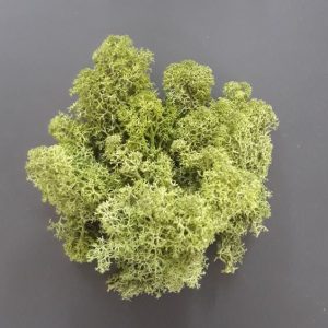 import placeholder for 2899