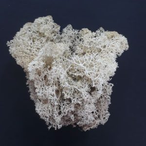 import placeholder for 2904