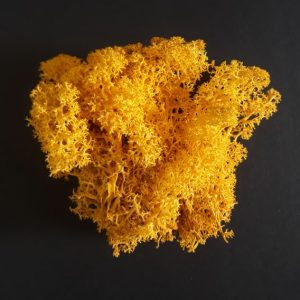 import placeholder for 2897