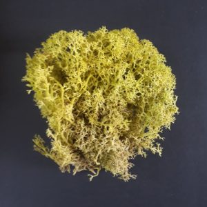 import placeholder for 2900