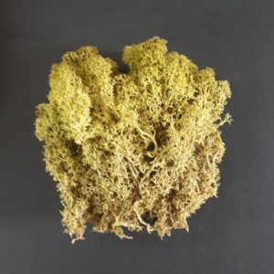 import placeholder for 2902