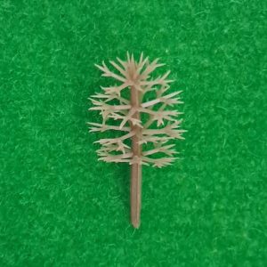 import placeholder for 3058