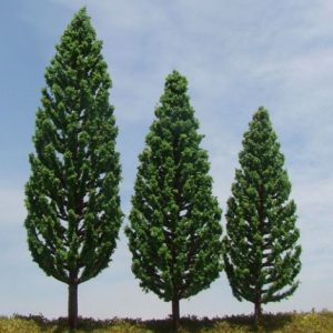 import placeholder for 2646