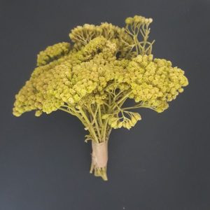 import placeholder for 2908