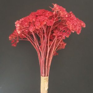 import placeholder for 2910