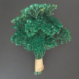 import placeholder for 2909